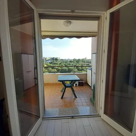 Roberto אלגהרו